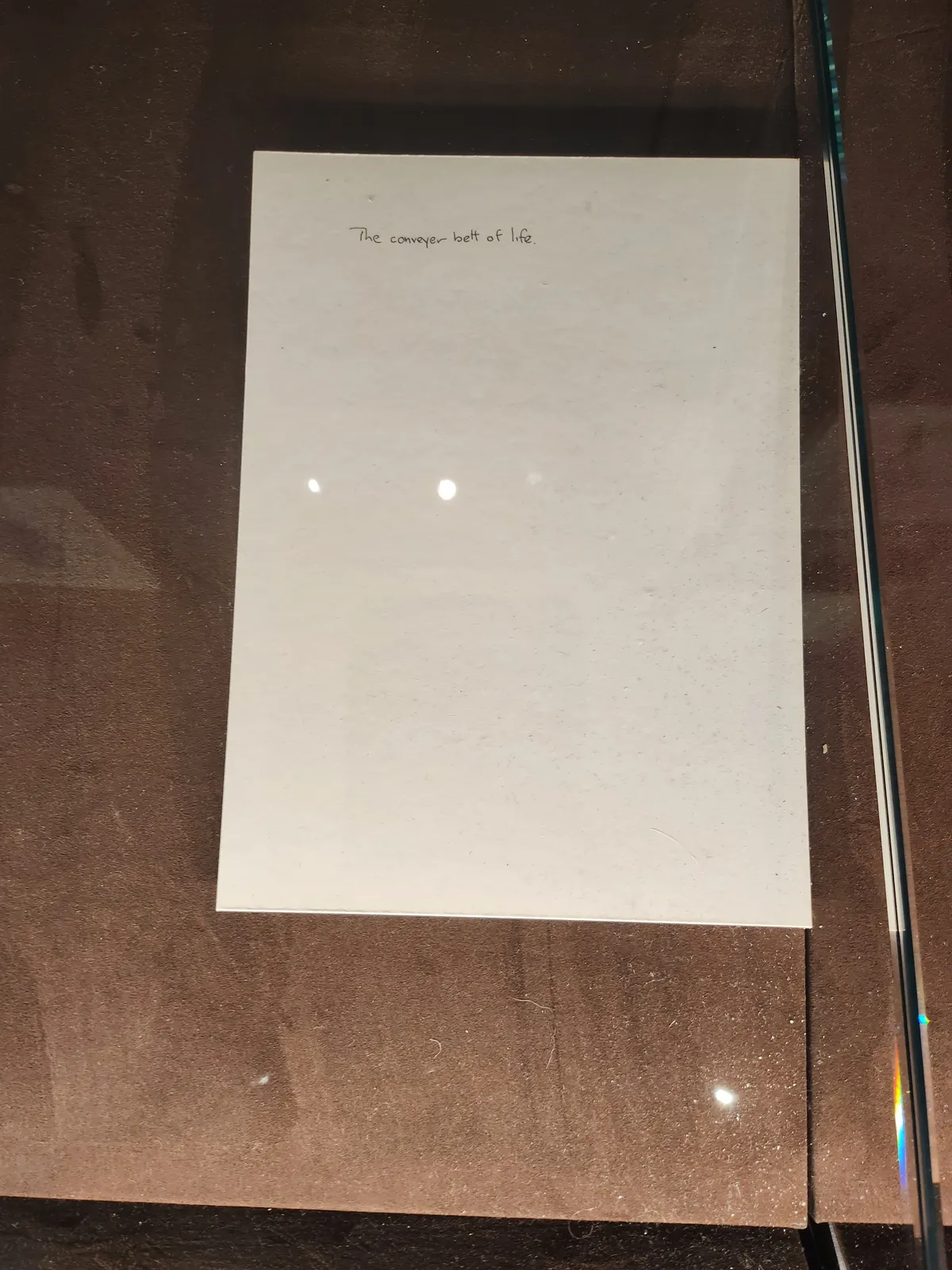Basquiat Gallery Image 64